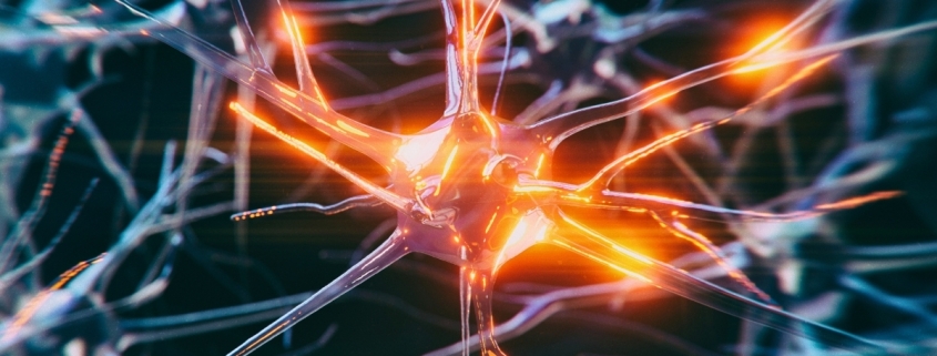 Some Brain Cells Resist Dementia, And Scientists Finally Know Why : ScienceAlert