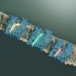 Superbugs Have a Hidden Weak Spot and Viruses Just Revealed It Superbugs Have a Hidden Weak Spot and Viruses Just Revealed It