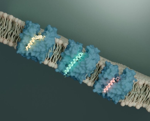 Superbugs Have a Hidden Weak Spot and Viruses Just Revealed It Superbugs Have a Hidden Weak Spot and Viruses Just Revealed It