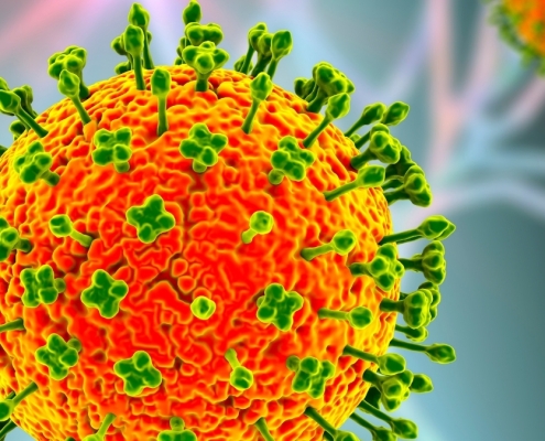 Nipah Virus Outbreak Has Asia on High Alert Amid Deaths in India : ScienceAlert