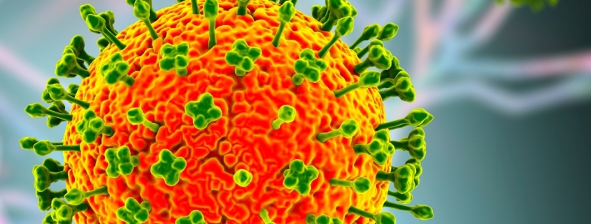 Nipah Virus Outbreak Has Asia on High Alert Amid Deaths in India : ScienceAlert