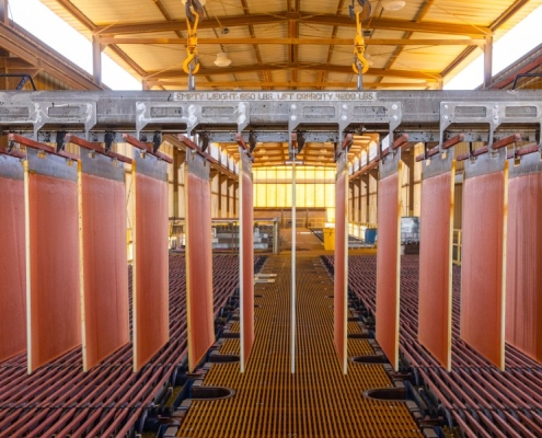 Microbes could extract the metal needed for cleantech