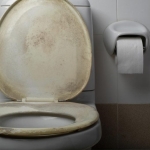 Is Sitting on a Public Toilet Seat Actually Dangerous? The Science Might Surprise You