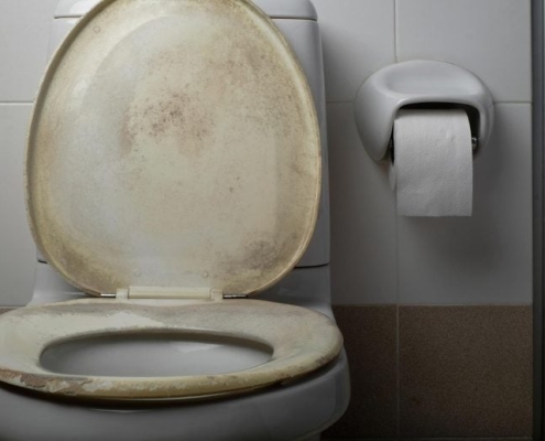 Is Sitting on a Public Toilet Seat Actually Dangerous? The Science Might Surprise You
