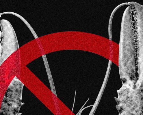 Meta and Other Tech Companies Ban OpenClaw Over Cybersecurity Concerns