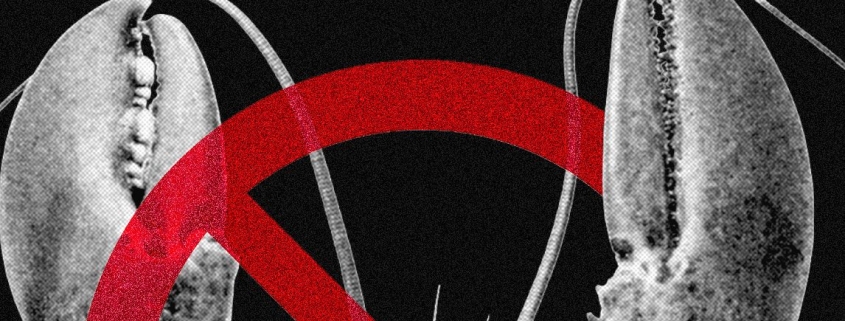 Meta and Other Tech Companies Ban OpenClaw Over Cybersecurity Concerns Meta and Other Tech Companies Ban OpenClaw Over Cybersecurity Concerns