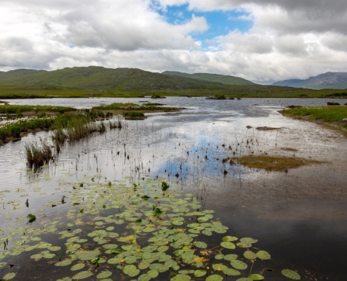 EPA allocates €6.5m to 24 projects in latest research call