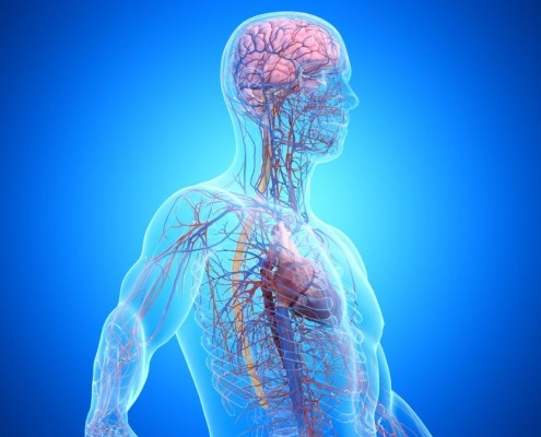 One in Three Dementia Cases Is Linked to Disease Outside The Brain : ScienceAlert One in Three Dementia Cases Is Linked to Disease Outside The Brain : ScienceAlert