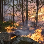Wildfires in the Arctic May Be Releasing Far More Carbon Than We Thought