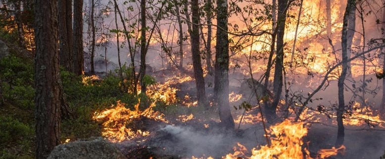 Wildfires in the Arctic May Be Releasing Far More Carbon Than We Thought Wildfires in the Arctic May Be Releasing Far More Carbon Than We Thought