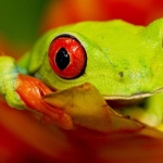 As the Planet Warms Nature’s Engine Is Grinding to a Halt