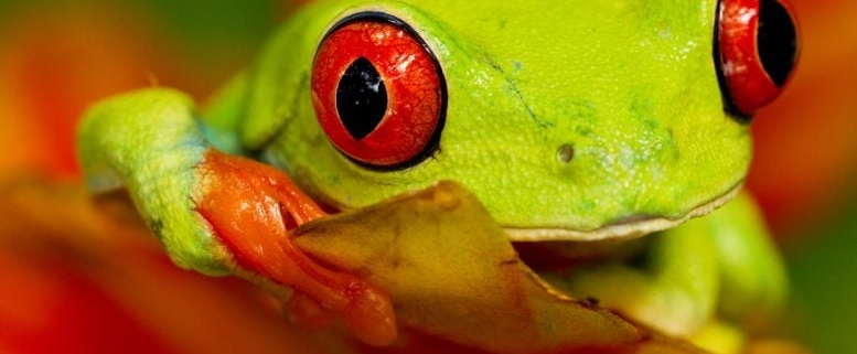 As the Planet Warms Nature’s Engine Is Grinding to a Halt As the Planet Warms Nature’s Engine Is Grinding to a Halt