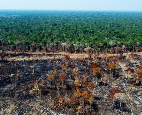 Amazon is getting drier as deforestation shuts down atmospheric rivers