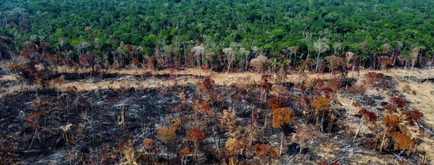 Amazon is getting drier as deforestation shuts down atmospheric rivers