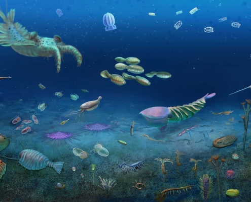Huge fossil bonanza preserves 512-million-year-old ecosystem