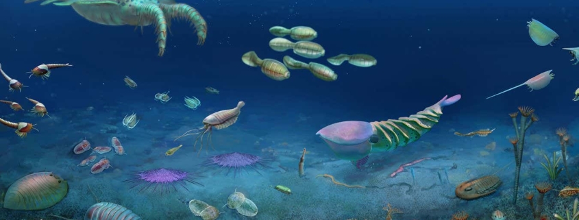 Huge fossil bonanza preserves 512-million-year-old ecosystem