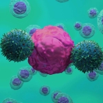 CAR T-cell therapy may slow neurodegenerative conditions like ALS
