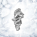 RNA strand that can almost self-replicate may be key to life’s origins