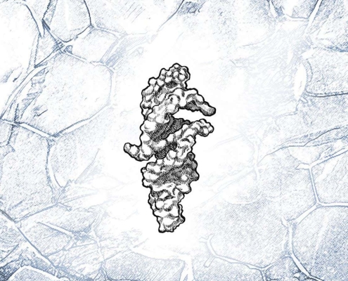 RNA strand that can almost self-replicate may be key to life’s origins