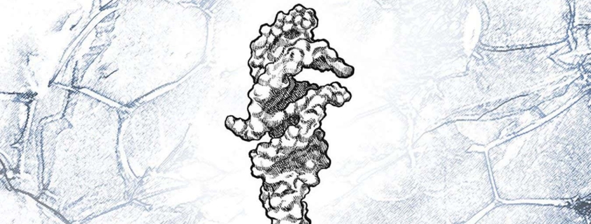 RNA strand that can almost self-replicate may be key to life’s origins