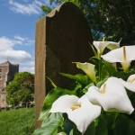 Prolonged grief disorder: Why some people cannot move on from the death of a loved one Prolonged grief disorder: Why some people cannot move on from the death of a loved one