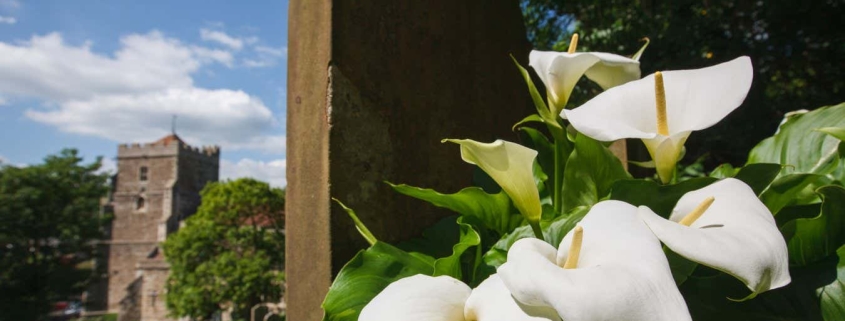 Prolonged grief disorder: Why some people cannot move on from the death of a loved one Prolonged grief disorder: Why some people cannot move on from the death of a loved one