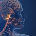 Fresh understanding of the causes of migraine reveals new drug targets