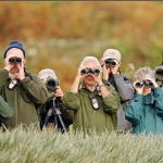 Birdwatching may reshape the brain and build its buffer against ageing