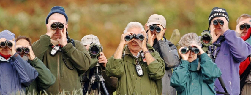 Birdwatching may reshape the brain and build its buffer against ageing