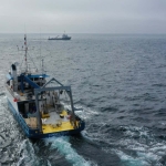 Ocean geoengineering trial finds no evidence of harm to marine life Ocean geoengineering trial finds no evidence of harm to marine life