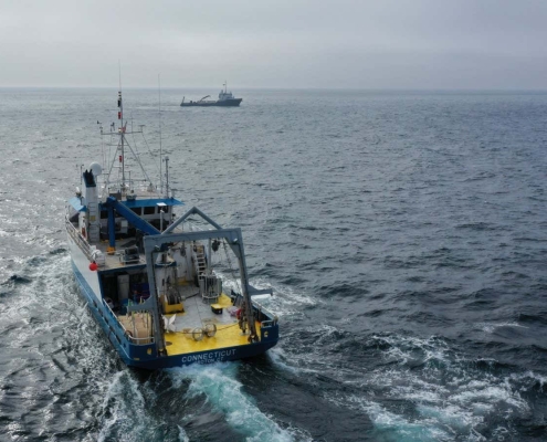 Ocean geoengineering trial finds no evidence of harm to marine life