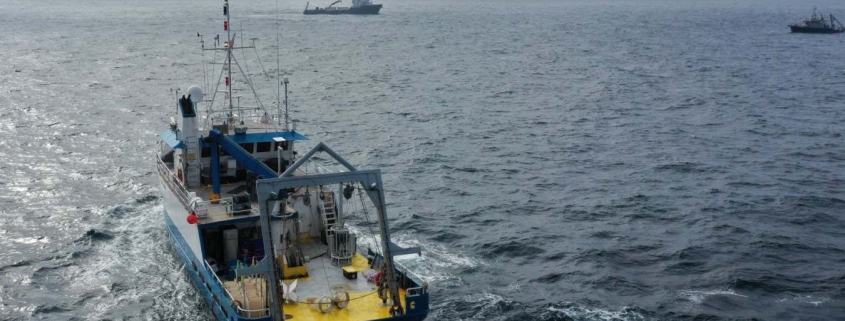 Ocean geoengineering trial finds no evidence of harm to marine life Ocean geoengineering trial finds no evidence of harm to marine life