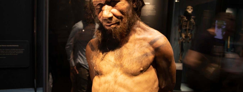 When we interbred with Neanderthals, they were usually the fathers