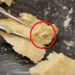 Expired Cans of Salmon From Decades Ago Preserved a Huge Surprise : ScienceAlert