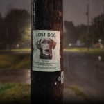 Super Bowl tech ad roundup: Al can kill you — or help find your lost dog