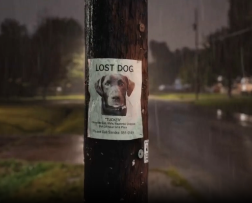 Super Bowl tech ad roundup: Al can kill you — or help find your lost dog