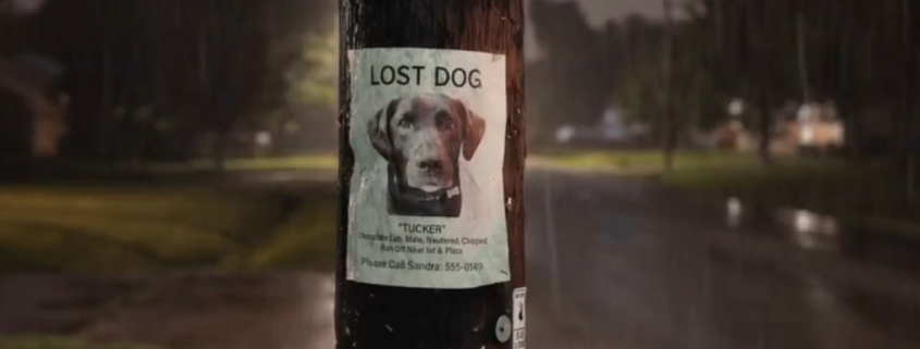 Super Bowl tech ad roundup: Al can kill you — or help find your lost dog
