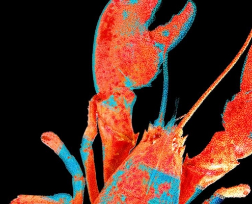 Moltbook, the Social Network for AI Agents, Exposed Real Humans’ Data