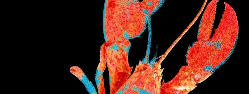 Moltbook, the Social Network for AI Agents, Exposed Real Humans’ Data