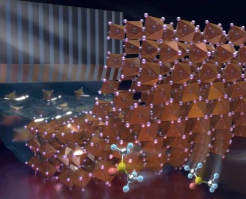 Scientists Fix a Hidden Flaw in Perovskite Solar Cells With Tiny Crystal Seeds Scientists Fix a Hidden Flaw in Perovskite Solar Cells With Tiny Crystal Seeds