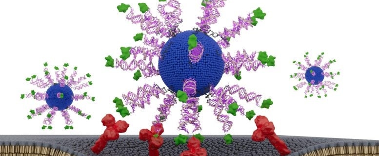 Scientists Supercharge HPV Cancer Vaccine With a Tiny Structural Shift