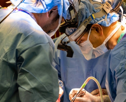 Surgeons Kept a Man Alive With No Lungs For 48 Hours. Here’s How. : ScienceAlert