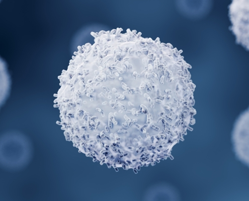 Immune Cells Do Something Unexpected to Stop This Brain Parasite From Spreading : ScienceAlert