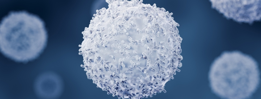 Immune Cells Do Something Unexpected to Stop This Brain Parasite From Spreading : ScienceAlert