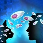 A Parasite Carried by Billions Has a Secret Life Inside the Brain