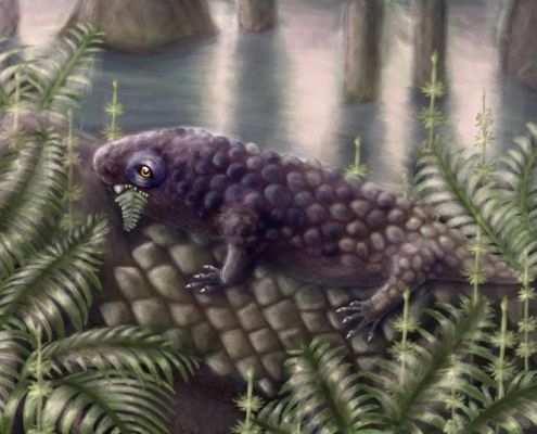 A 307 Million-Year-Old Skull Reveals a Surprising Shift in Early Diets