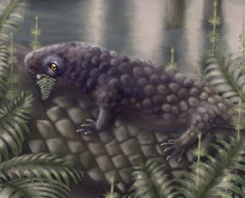 Newly Discovered Fossil Among The Earliest Land Creatures to Enjoy a Salad : ScienceAlert