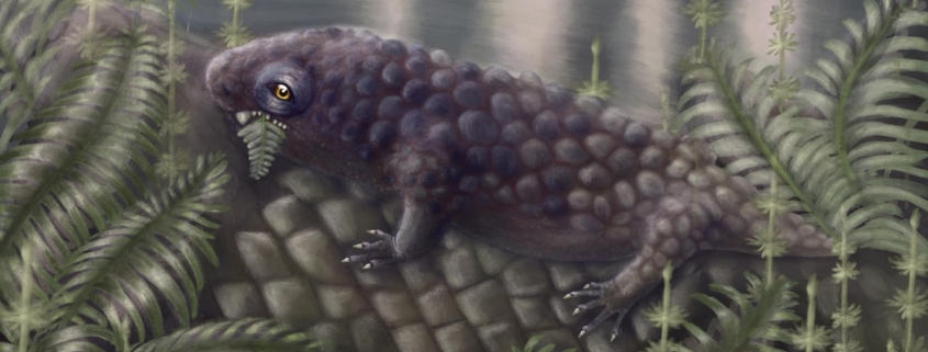 Newly Discovered Fossil Among The Earliest Land Creatures to Enjoy a Salad : ScienceAlert