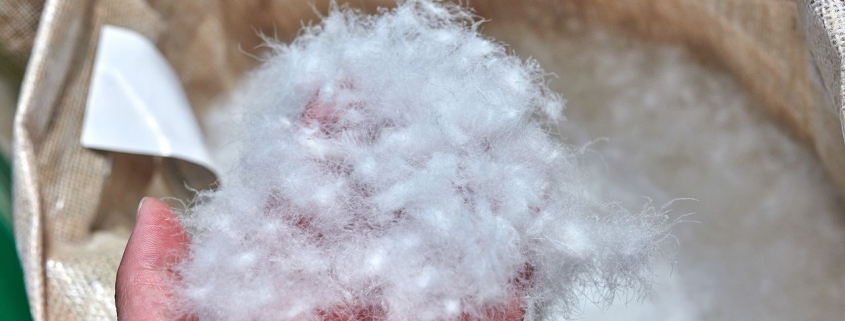 What Is Down Fill Power (2026): Fill Weight, Synthetics