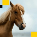 Here is why ETH’s ‘brutal stumble’ looks exactly like the start of the last bull run: Asia Morning Briefing